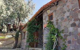 Assos Vi̇Lla Natura